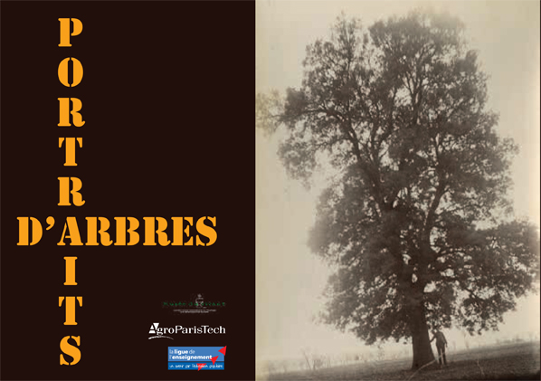 L' Exposition Portraits d'Arbres